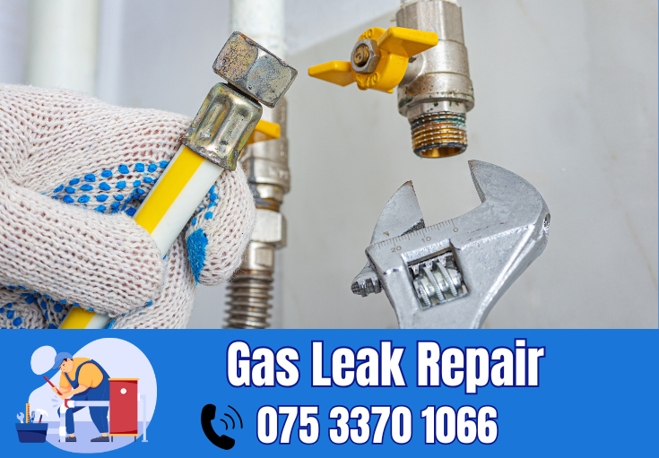 gas leak repair West Malling