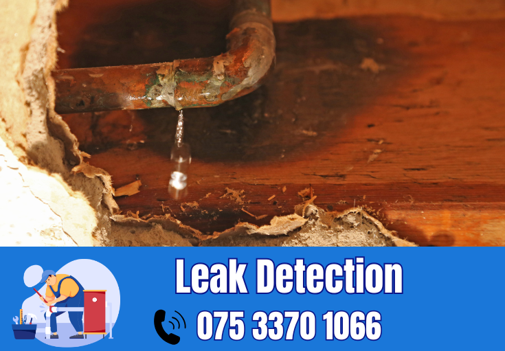 leak detection West Malling