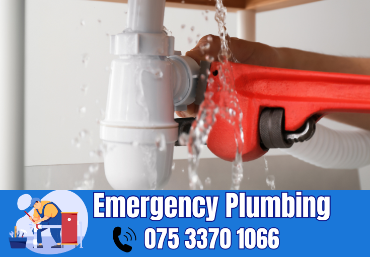  plumber Kings Hill
