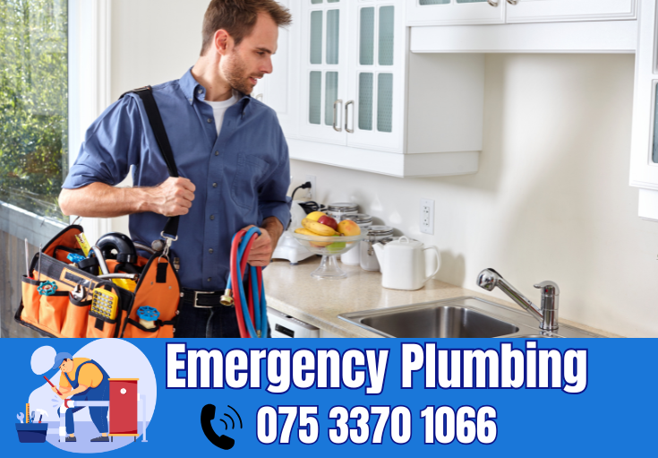  plumber Offham
