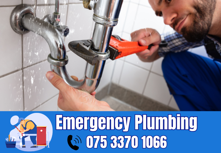  plumber Leybourne