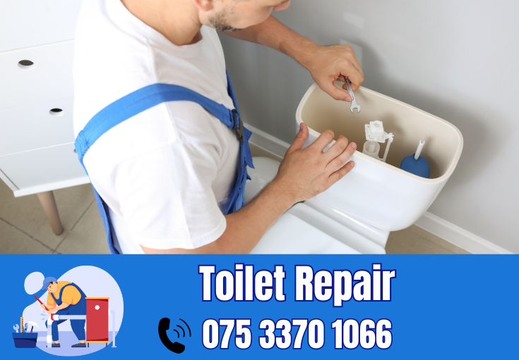 toilet repair West Malling